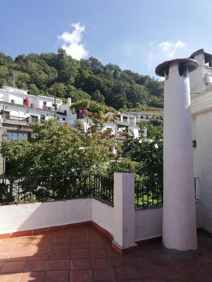 Apartamentos Cerro Negro - Los Magalites Capileira Eksteriør billede